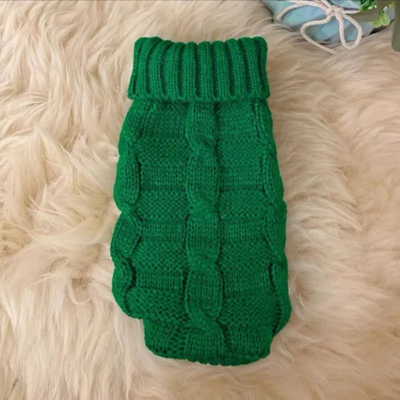 Cat wearing a knitted sweater in a bright colour, showing the pullover style for autumn winter pet clothing