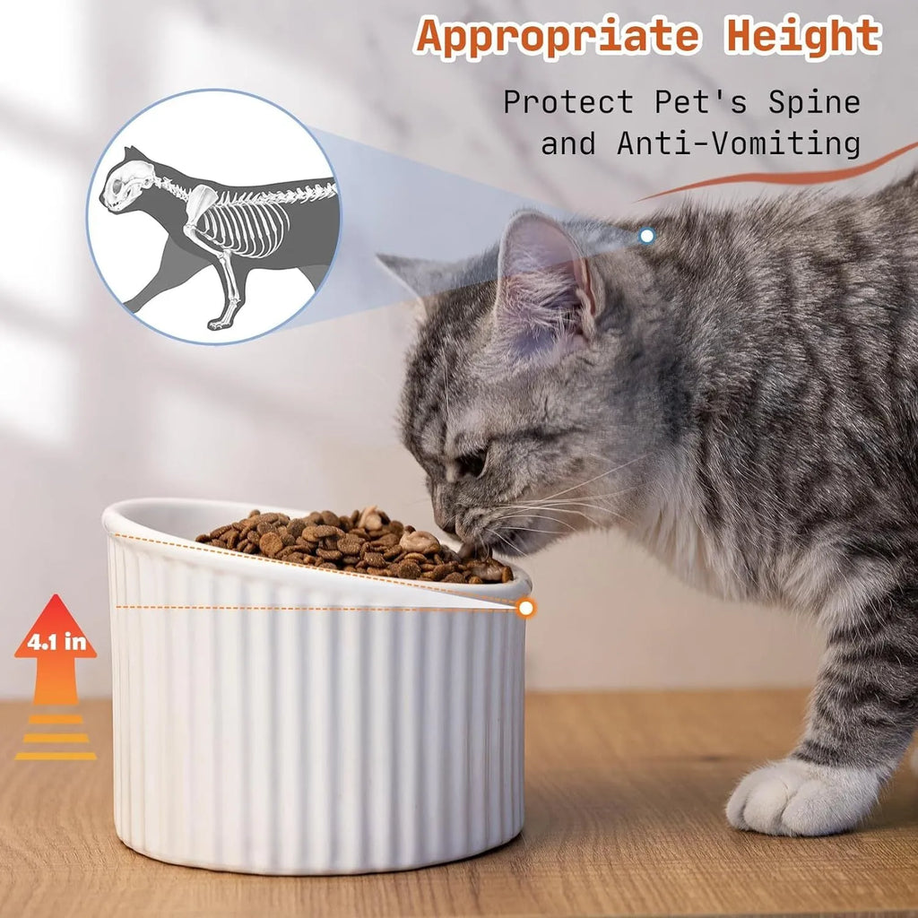 Elevated ceramic cat bowl in light green colour, showing tilted round design for whisker comfort.