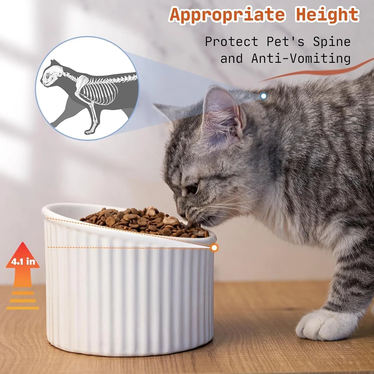 Elevated ceramic cat bowl in light green colour, showing tilted round design for whisker comfort.
