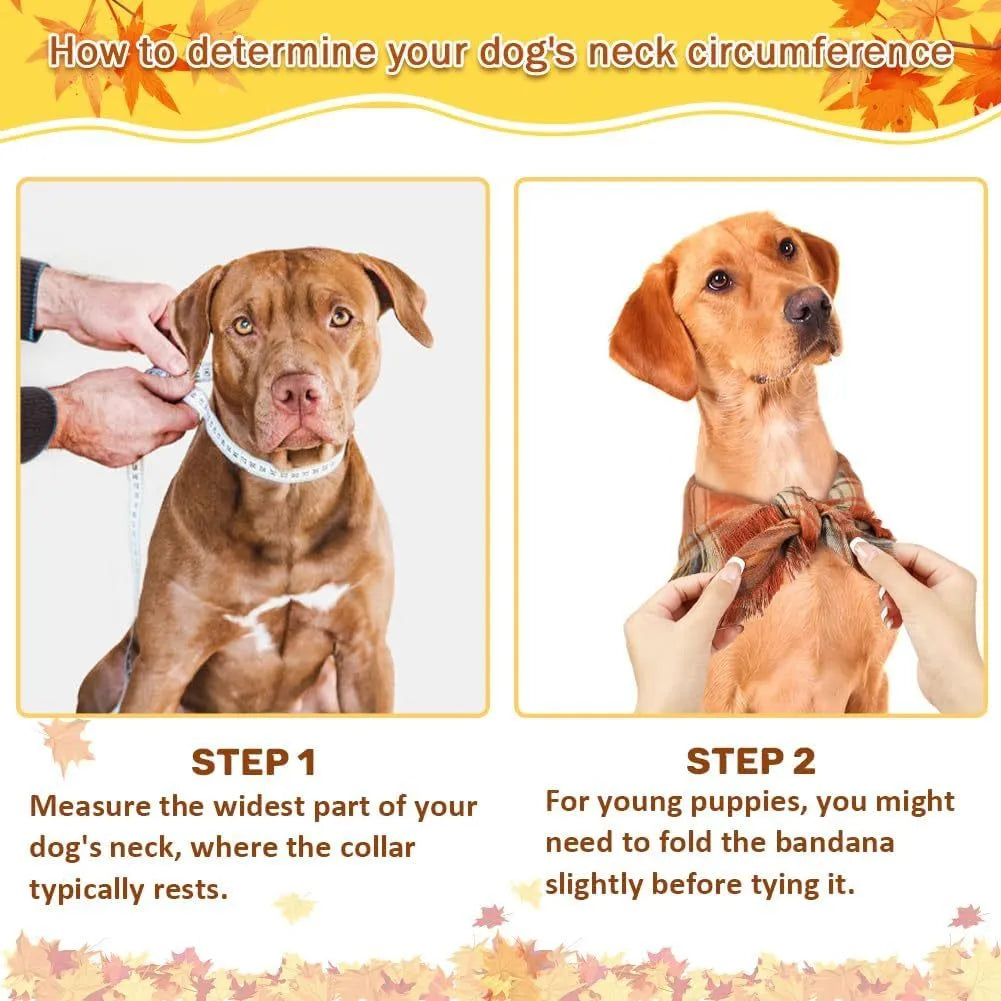 Plaid triangle dog bandana with tassels in autumn colours on a dog's neck.