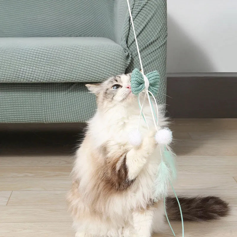 Blue and green cat teaser wands with feather attachments and long bite-resistant poles