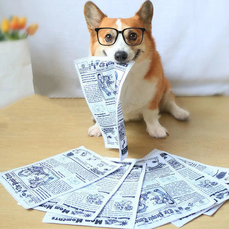 Tearproof pet dog sound toy in playing card design with simulated newspaper squeaking function