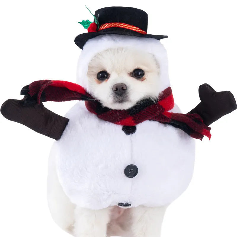 Halloween dog costume selection showing bat suit, devil outfit and pumpkin pack designs