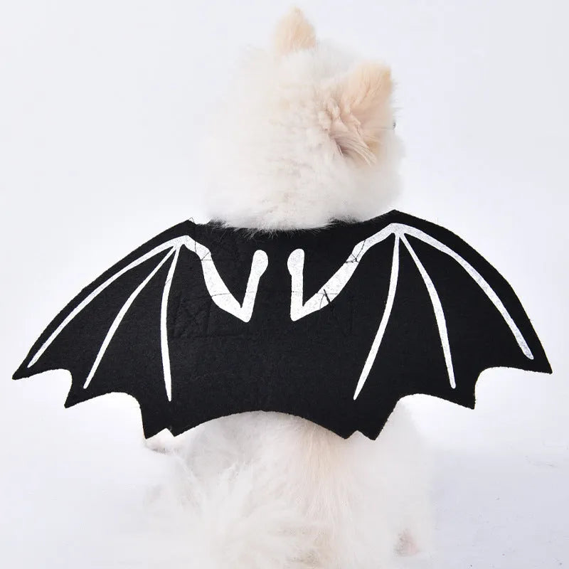 Halloween dog costume selection showing bat suit, devil outfit and pumpkin pack designs