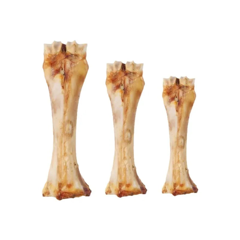 Large roasted ox bone flavour dog dental chew stick for puppies and small dogs on a white background.