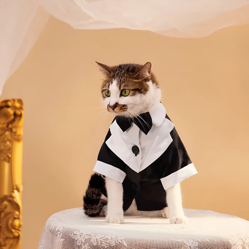 Chinese-style four-legged gentleman wedding suit for dogs in polyester fabric