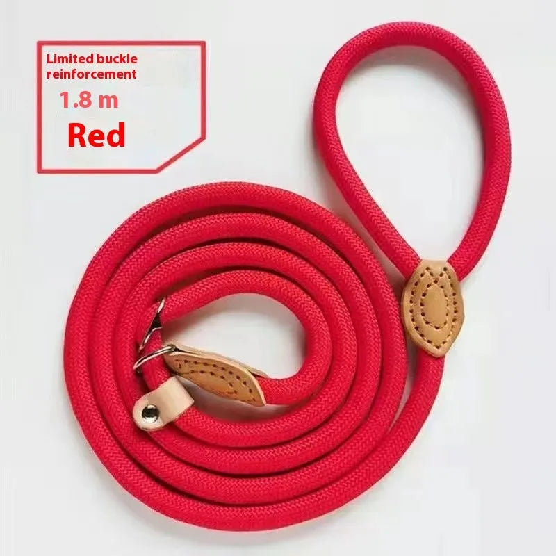 Nylon dog training rope in black, 1.5m length, 1.0cm thickness, on plain background