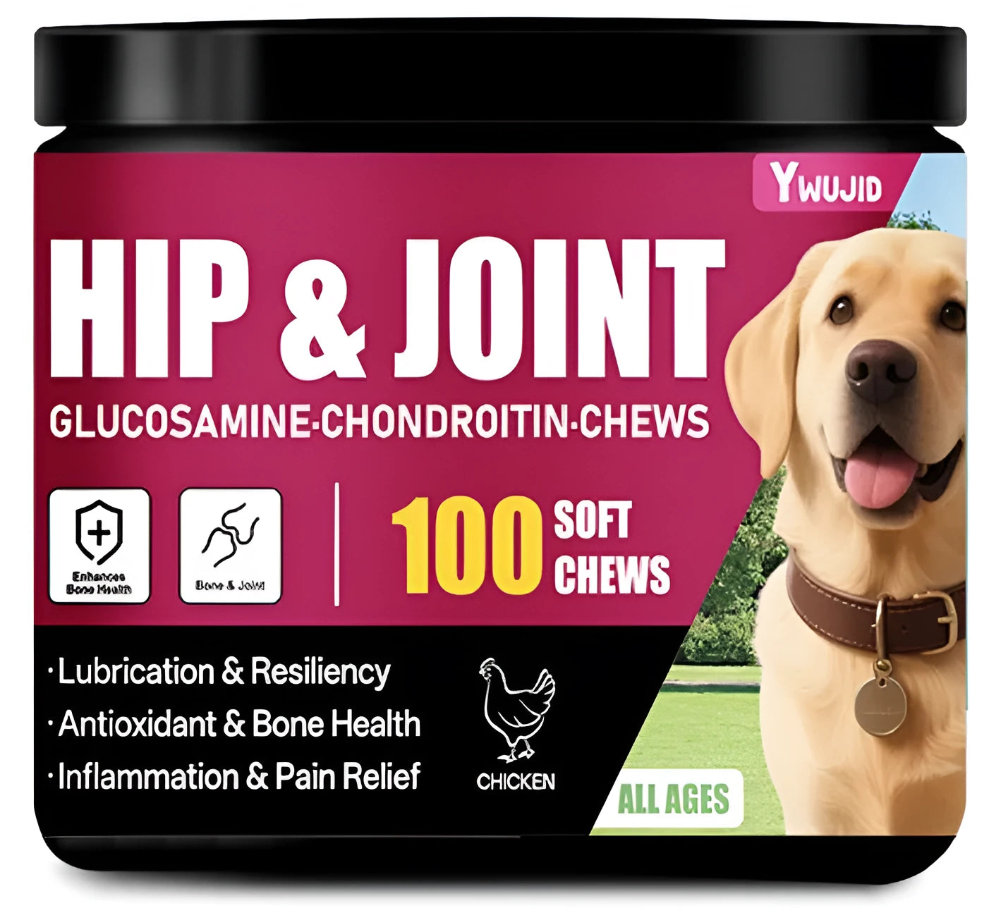 Canister of chondroitin chewable soft granules, a 300g dietary supplement for bone and cartilage support.