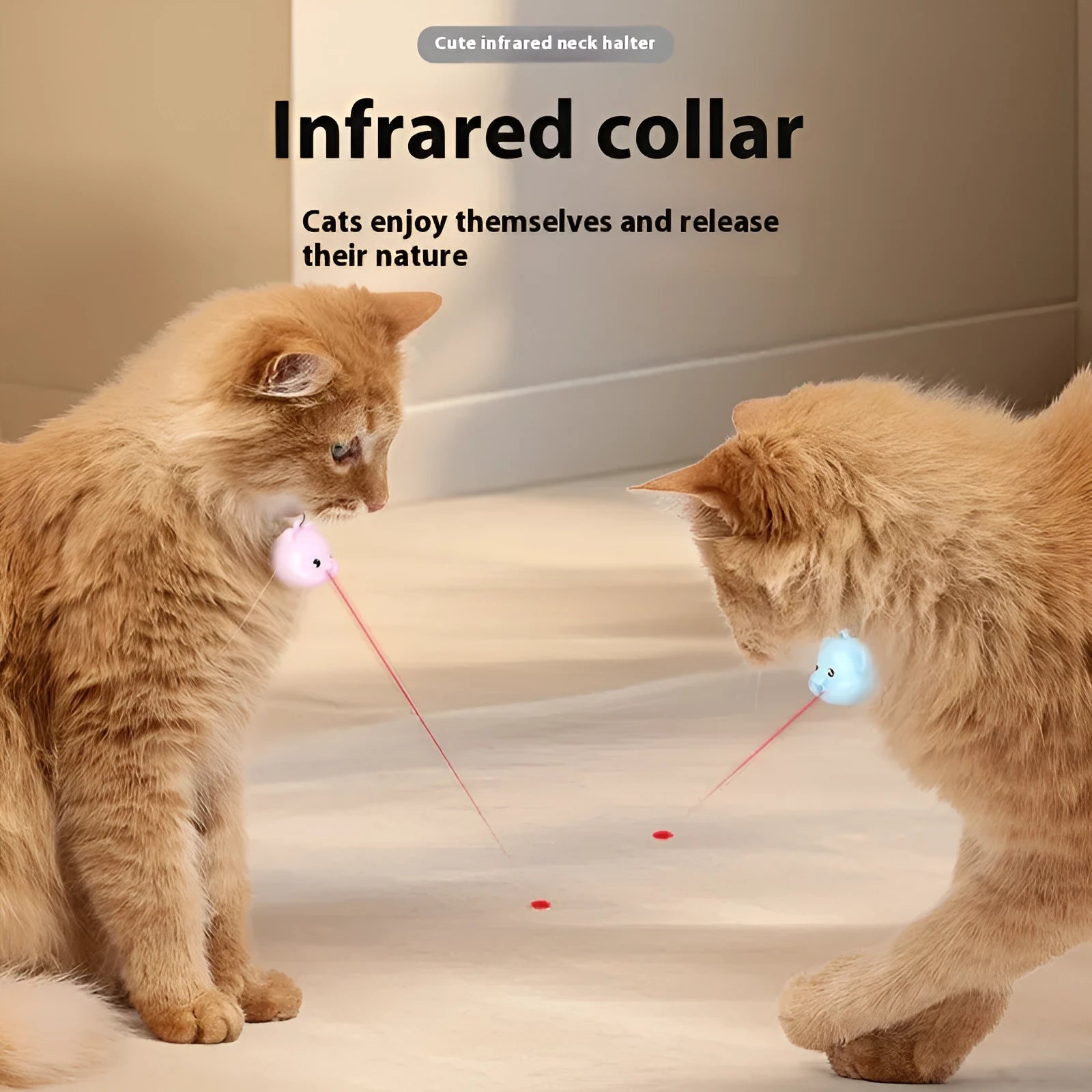 Rechargeable remote control cat halter collar with infrared sensor in pink or blue colour