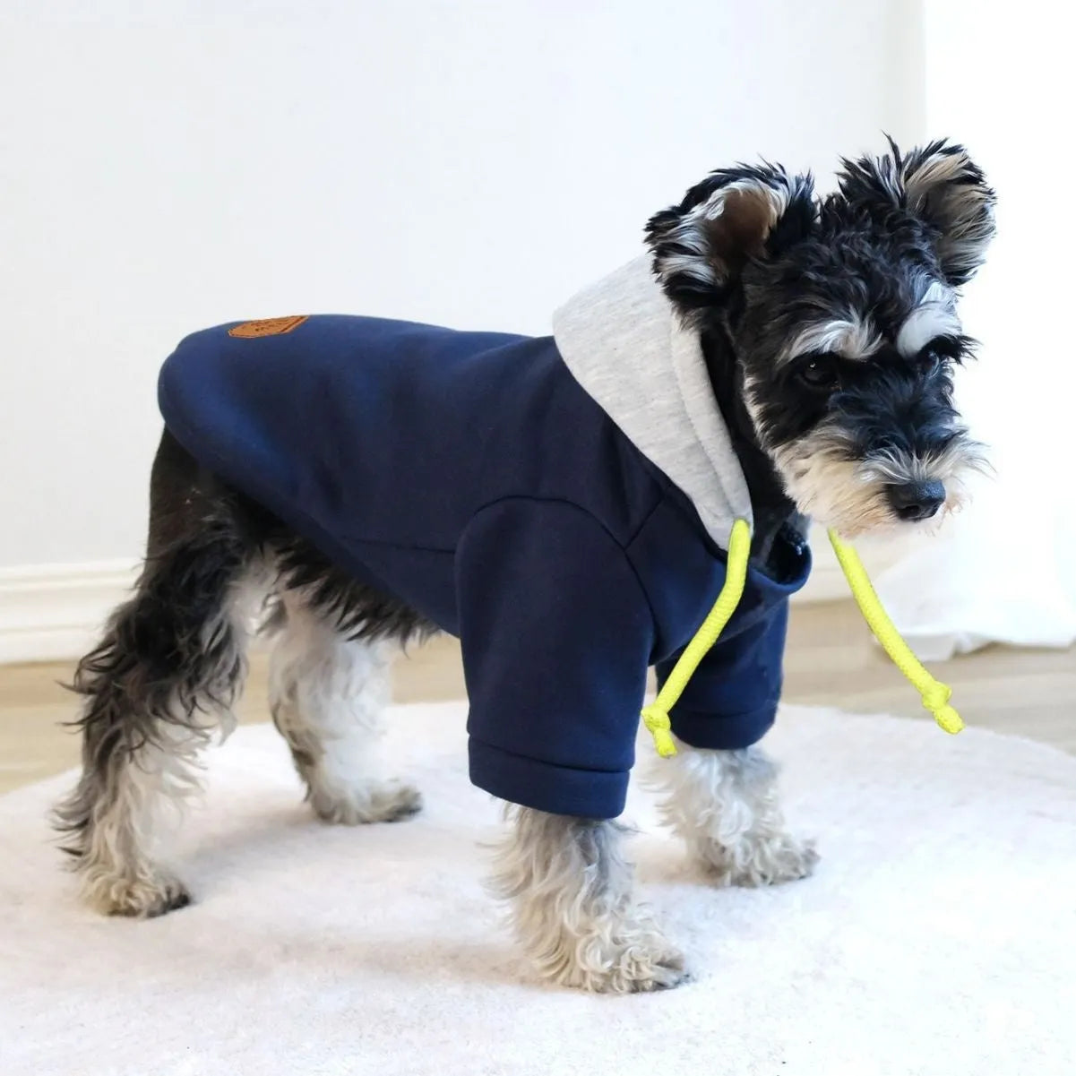 Dark red British-style dog hooded pullover jumper on a model dog