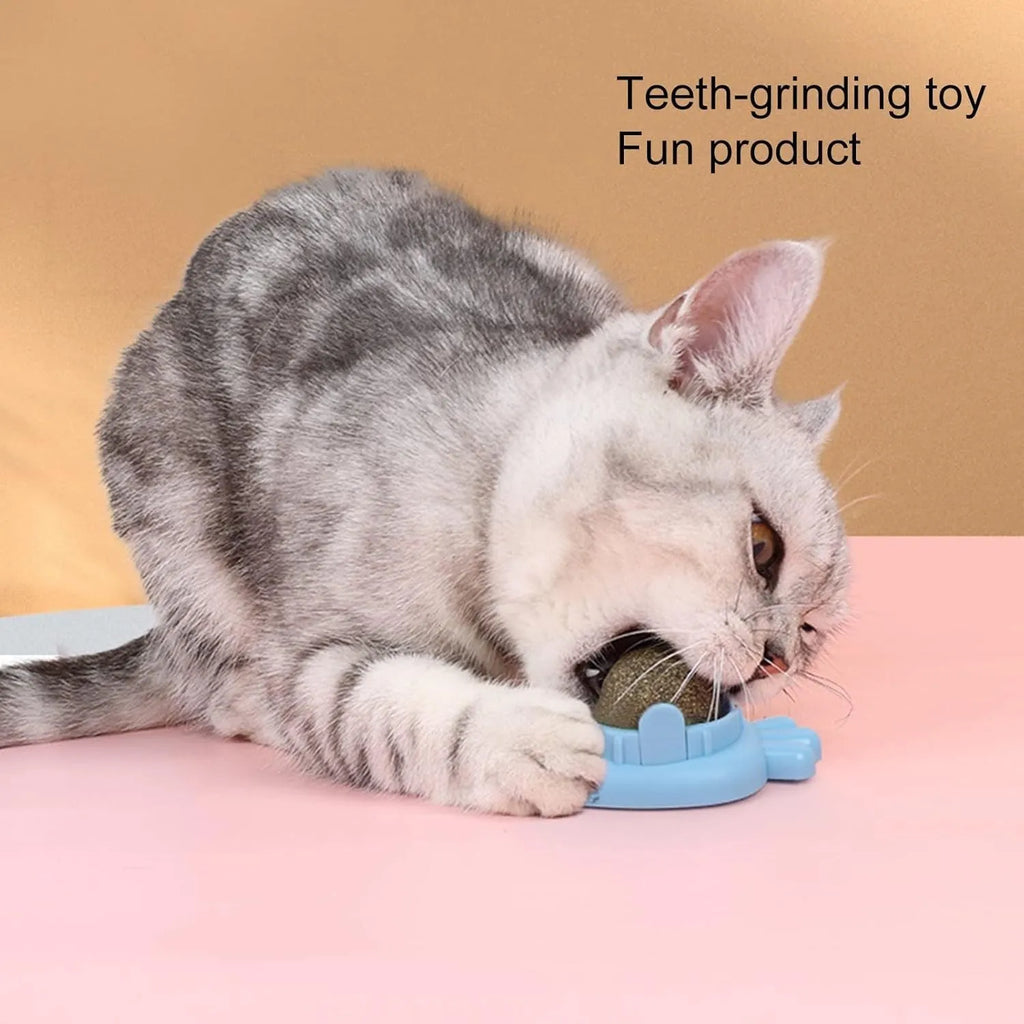 Blue carrot-shaped self-adhesive catnip ball toy for wall mounting and cat teeth cleaning.