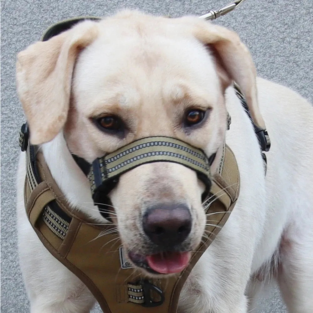 Adjustable reflective dog muzzle in blue, shown on a large dog model, with straps and nose-guard visible.