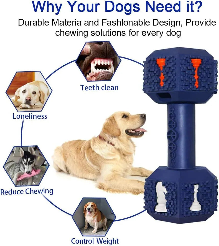 Durable rubber dumbbell dog chew toy with hollow ends for treats and textured cleaning surface