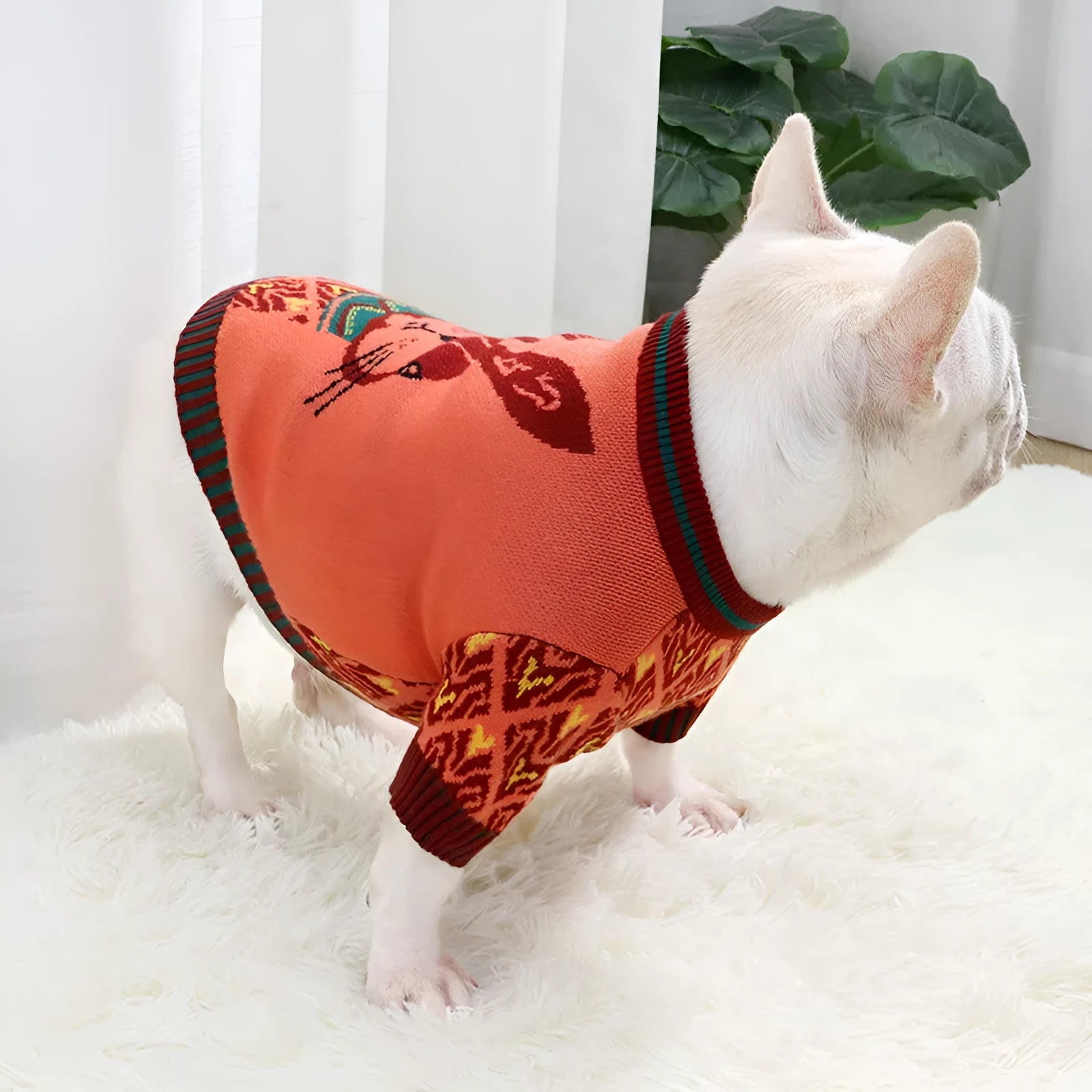 Cartoon animal design woollen dog sweater for autumn and winter, available in multiple sizes.