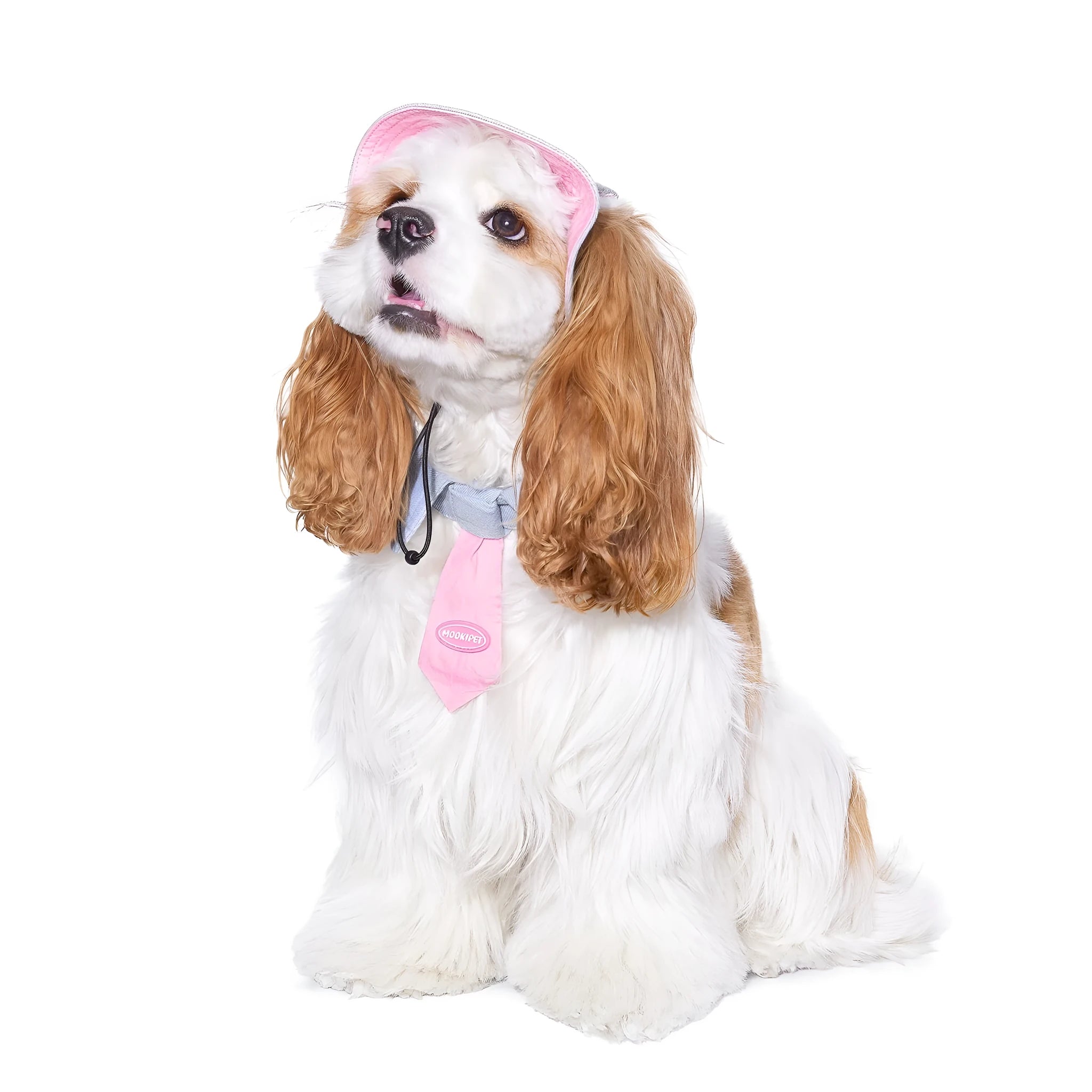 Blue bamboo fabric dog saliva towel for small breeds like Yorkshire and Bichon