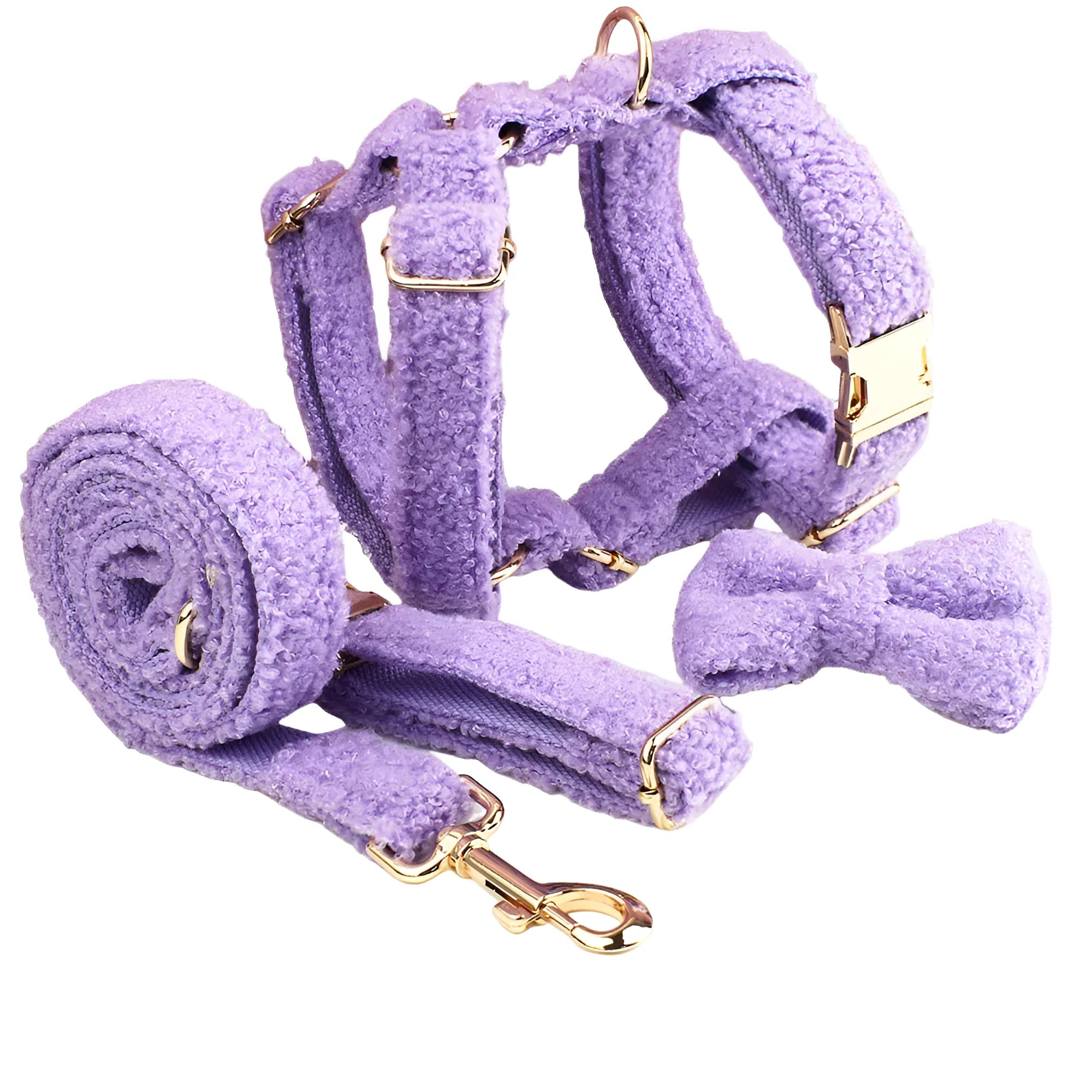 Purple four-piece dog accessory set showing cloth collar, leash, bow, and vest for small dogs