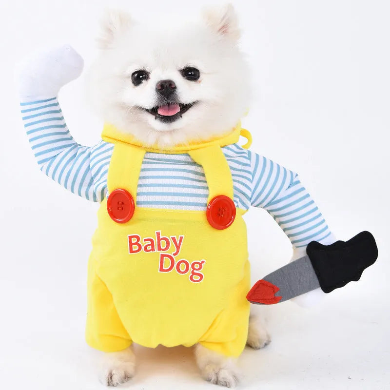 Halloween dog costume selection showing bat suit, devil outfit and pumpkin pack designs