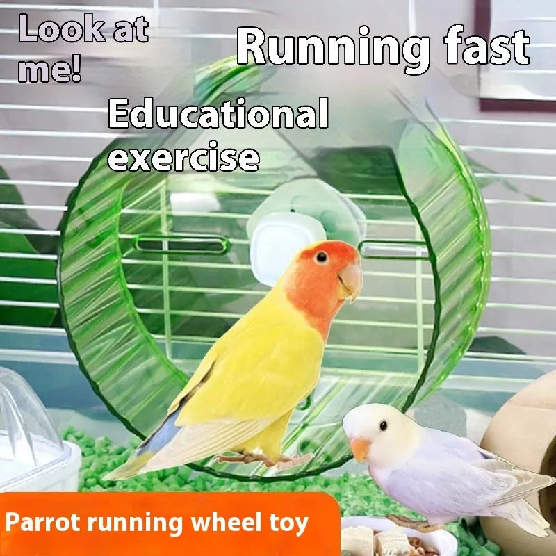 Plastic parrot running wheel toy for birds in various colours with treadmill design