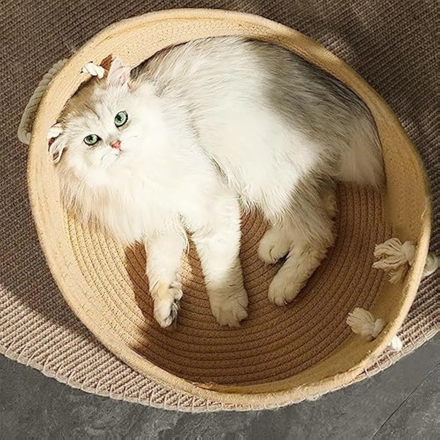 Natural wicker cat bed basket with corrugated scratching board surface in two size options