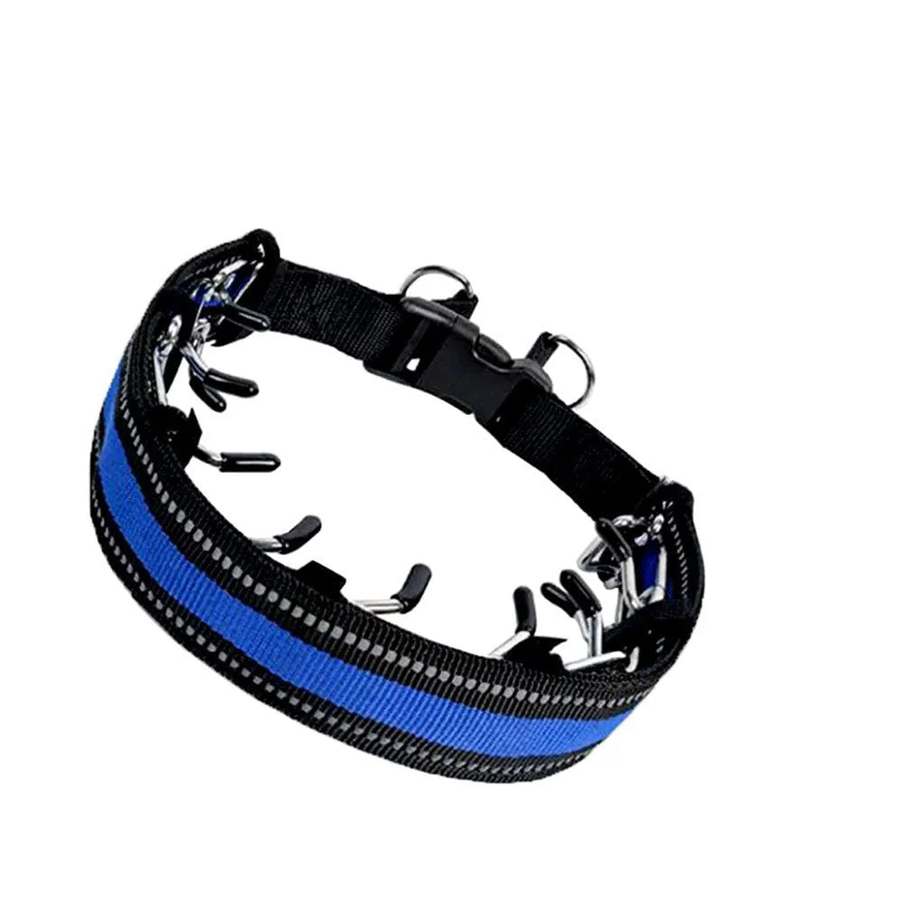 Close-up of a metal chain dog training collar with spike links, shown in reflective blue colour.
