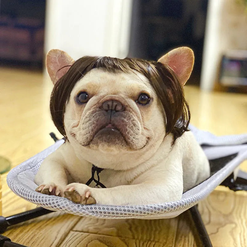 Adjustable pet wig sheath headdress for dogs and cats in various party styles