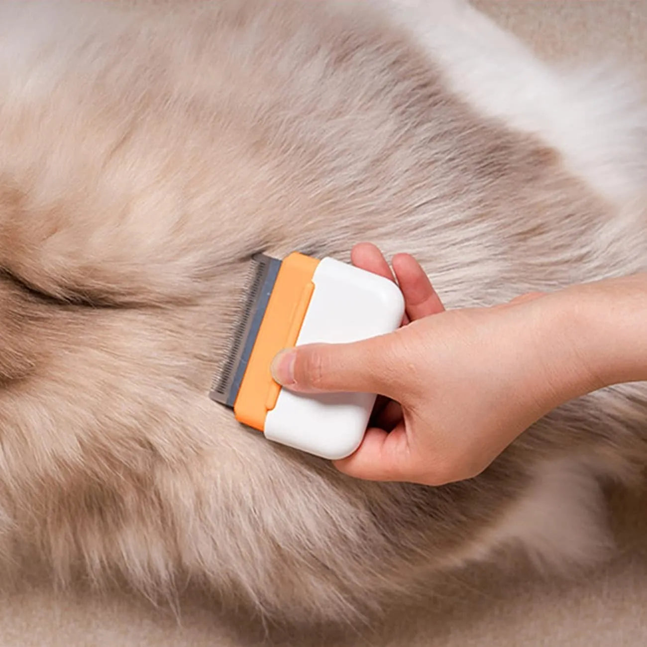 Double-sided pet grooming comb showing grooming pins and massage nodes in blue colour