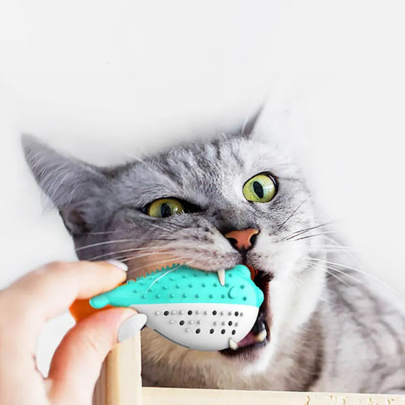 Small blue silicone fish-shaped chew toy for cats on a white background.