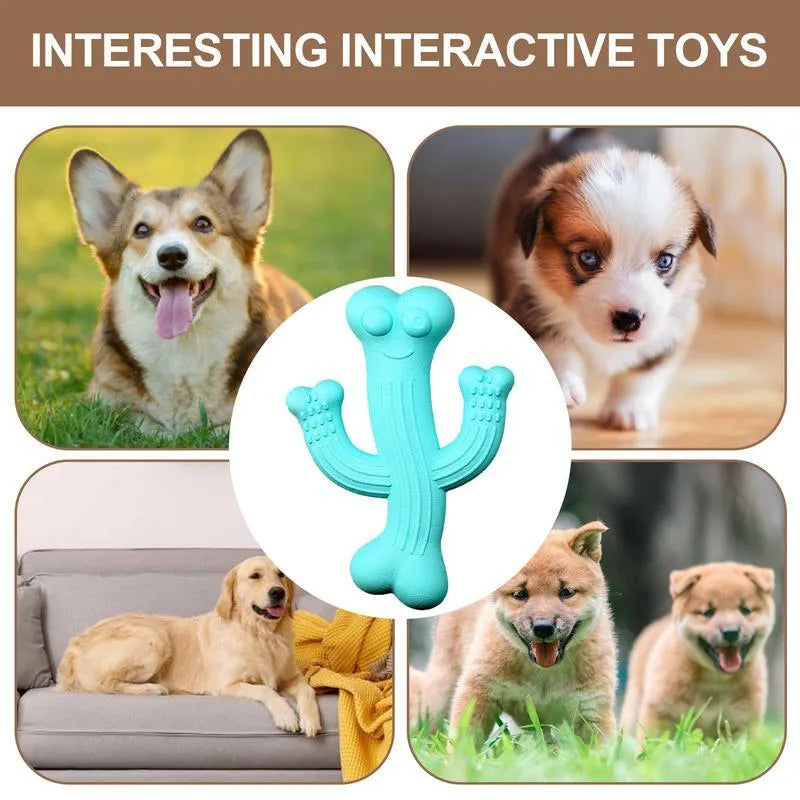 Cactus-shaped dog chew toy in bamboo fibre and rubber available in small and large sizes