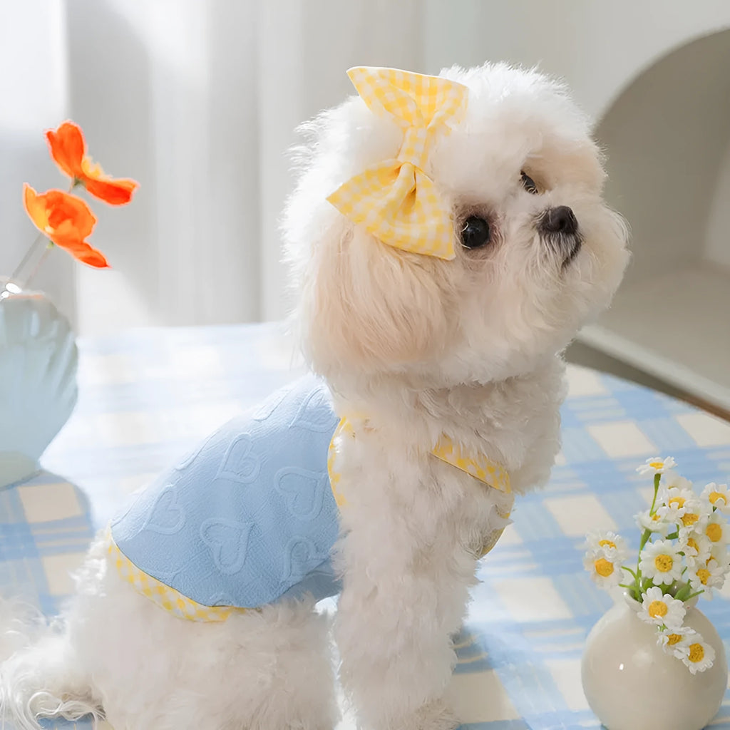 Small dog wearing heart texture bow suspenders vest in Bondi Blue colour