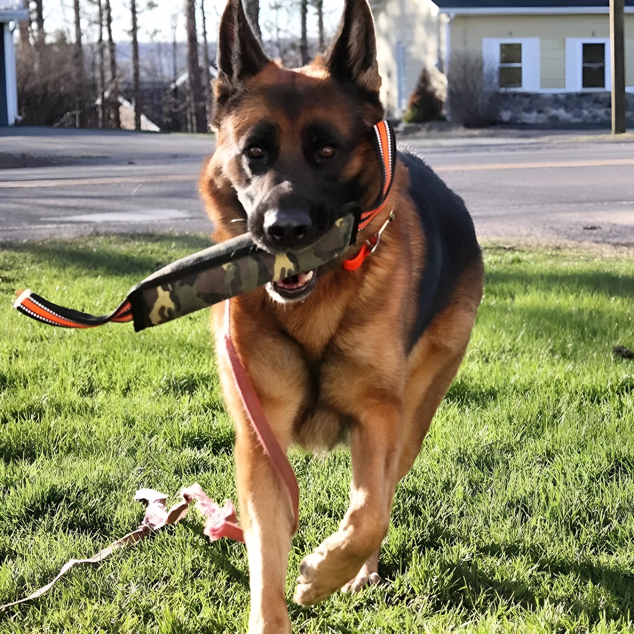 Yellow-edged jute dog training bite stick with reflective strips, measuring 55 cm in length