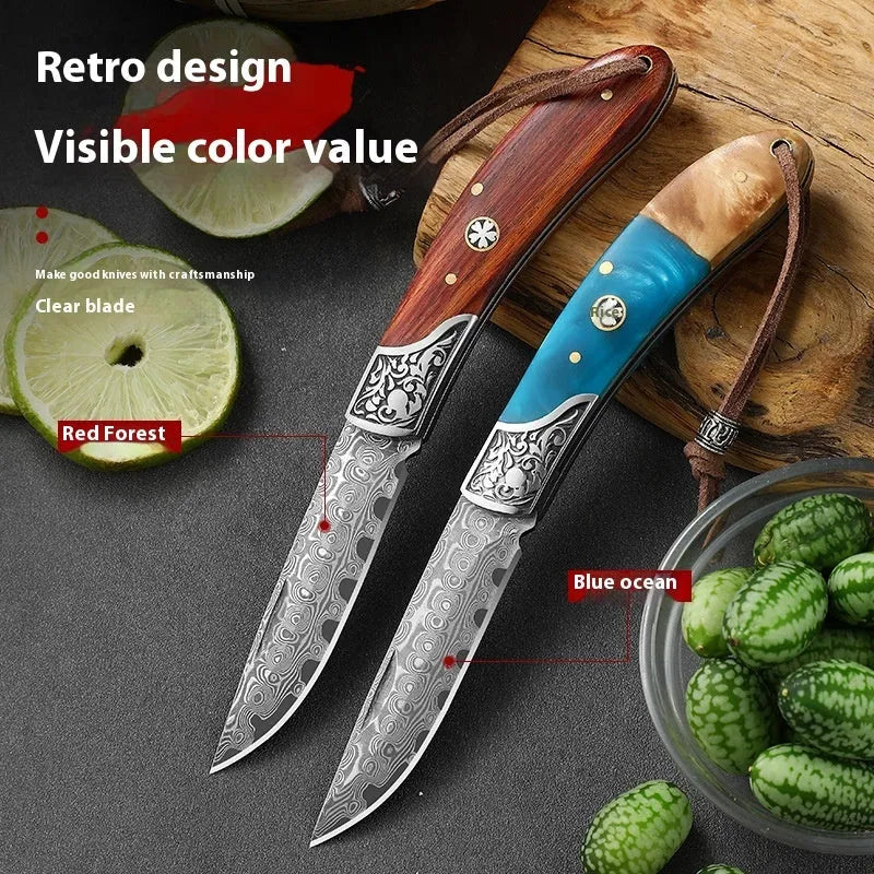 VG10 stainless steel folding portable mini outdoor knife with dovetail pattern