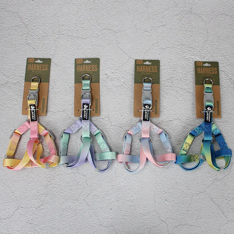 Gradient colour nylon dog leash shown in pink and blue, with collar attachment style.