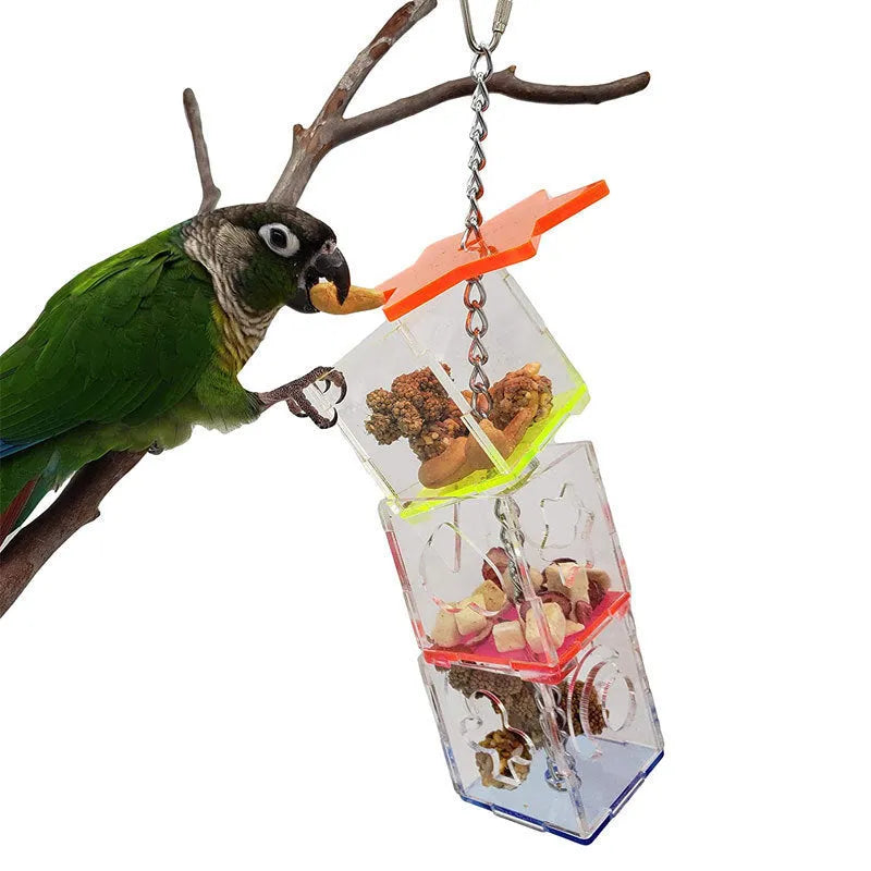 Clear acrylic bird foraging toy, tall rectangular shape for holding nuts and fruit.