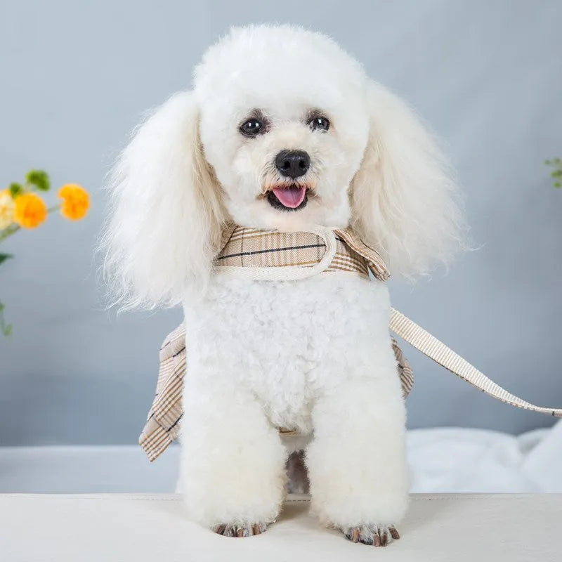 Chest strap pet vest with hand holding rope in milky white or purple skirt style