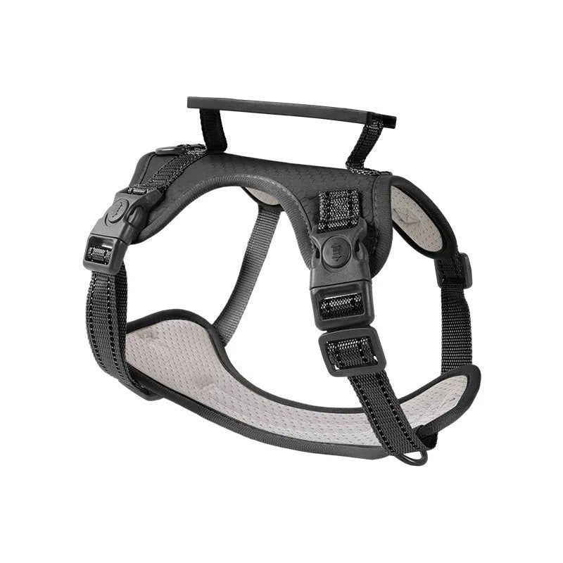 Polyester dog chest harness and lead set shown in multiple colours including lake blue, on a size chart from XS to XL.