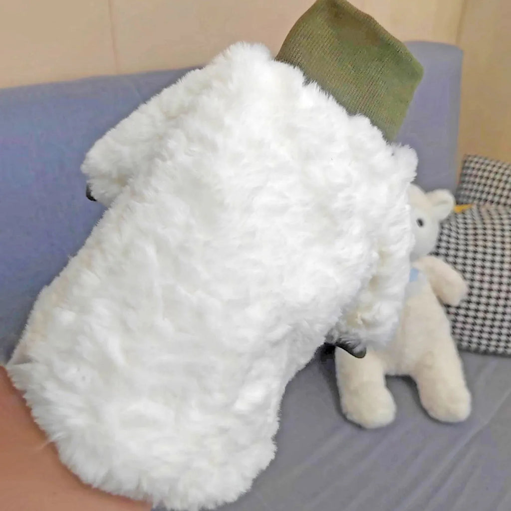 Creamy green turtleneck plush dog coat on small breed with detailed sizing chart showing chest and back measurements.