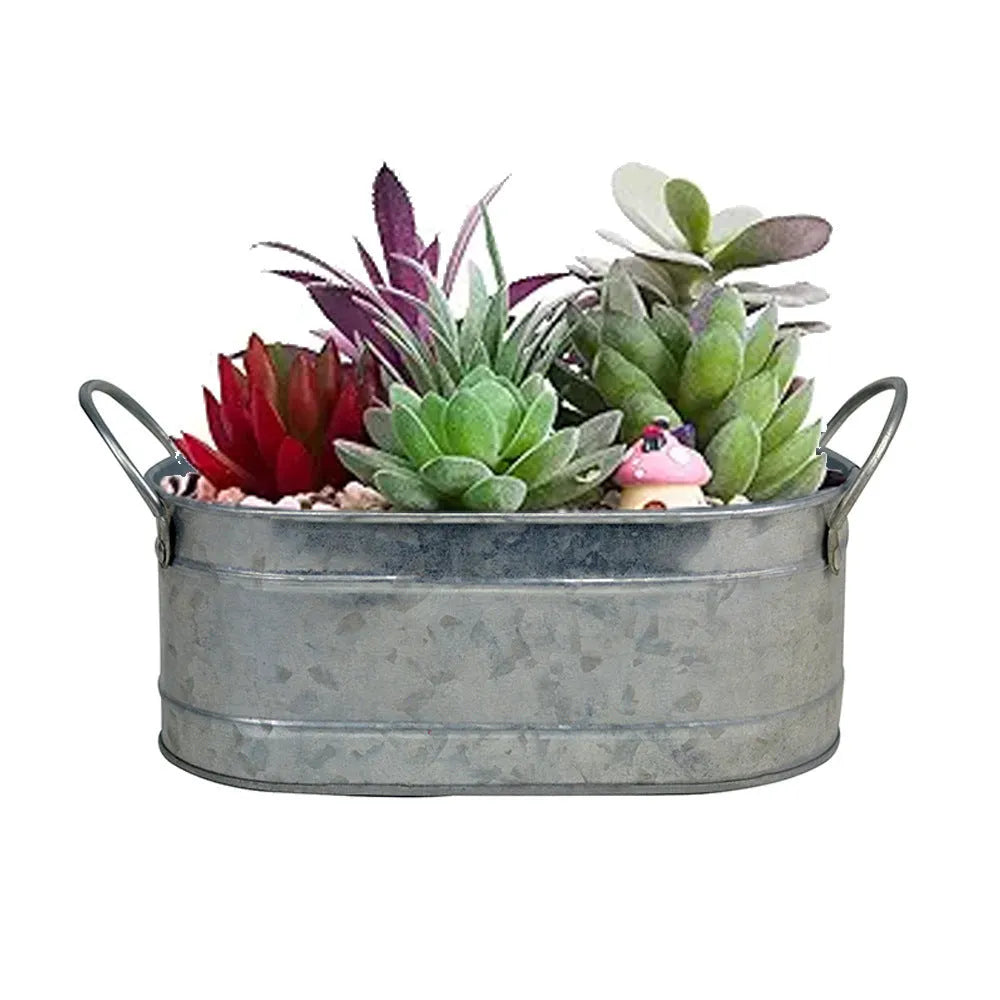 Iron sheet succulent flowerpot in desktop style for small drought-resistant plants