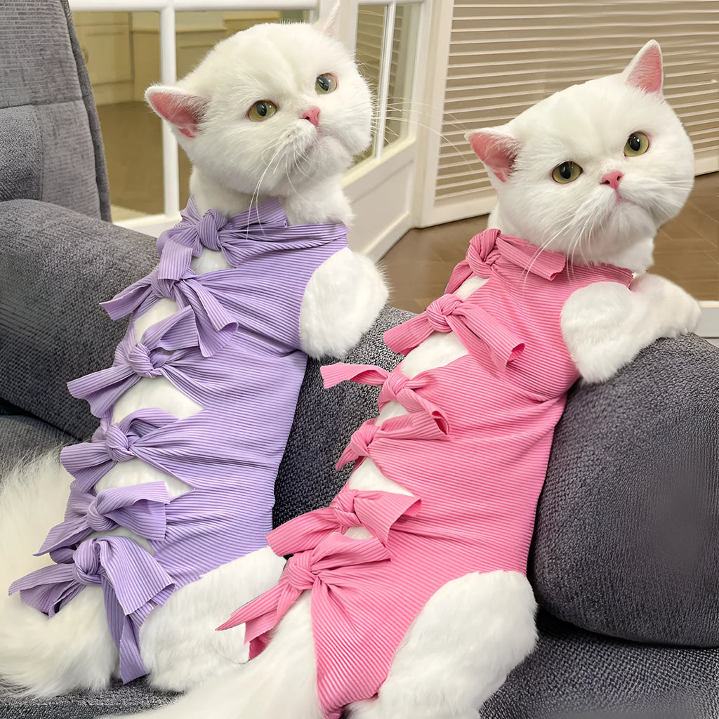 Pink lace-up cat sterilisation clothing for post-operation recovery on a small cat.