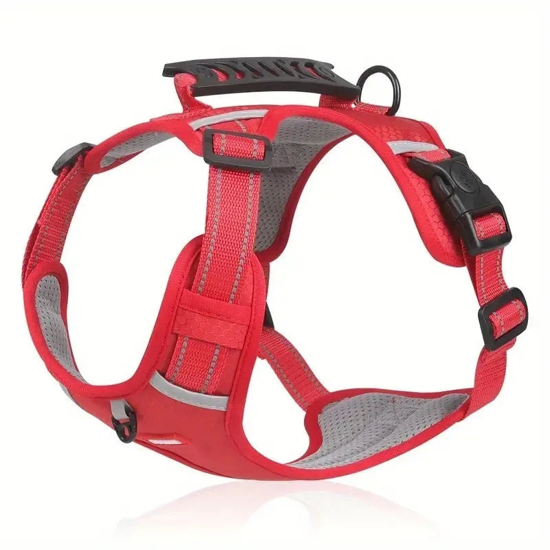 Polyester dog chest harness and lead set shown in multiple colours including lake blue, on a size chart from XS to XL.