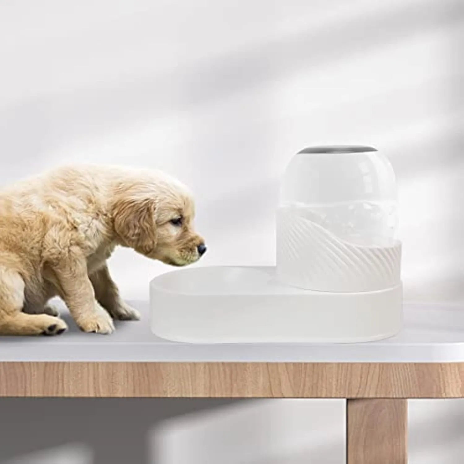 White gravity-fed cat feeder and water dispenser set with wave-shaped design on a table.
