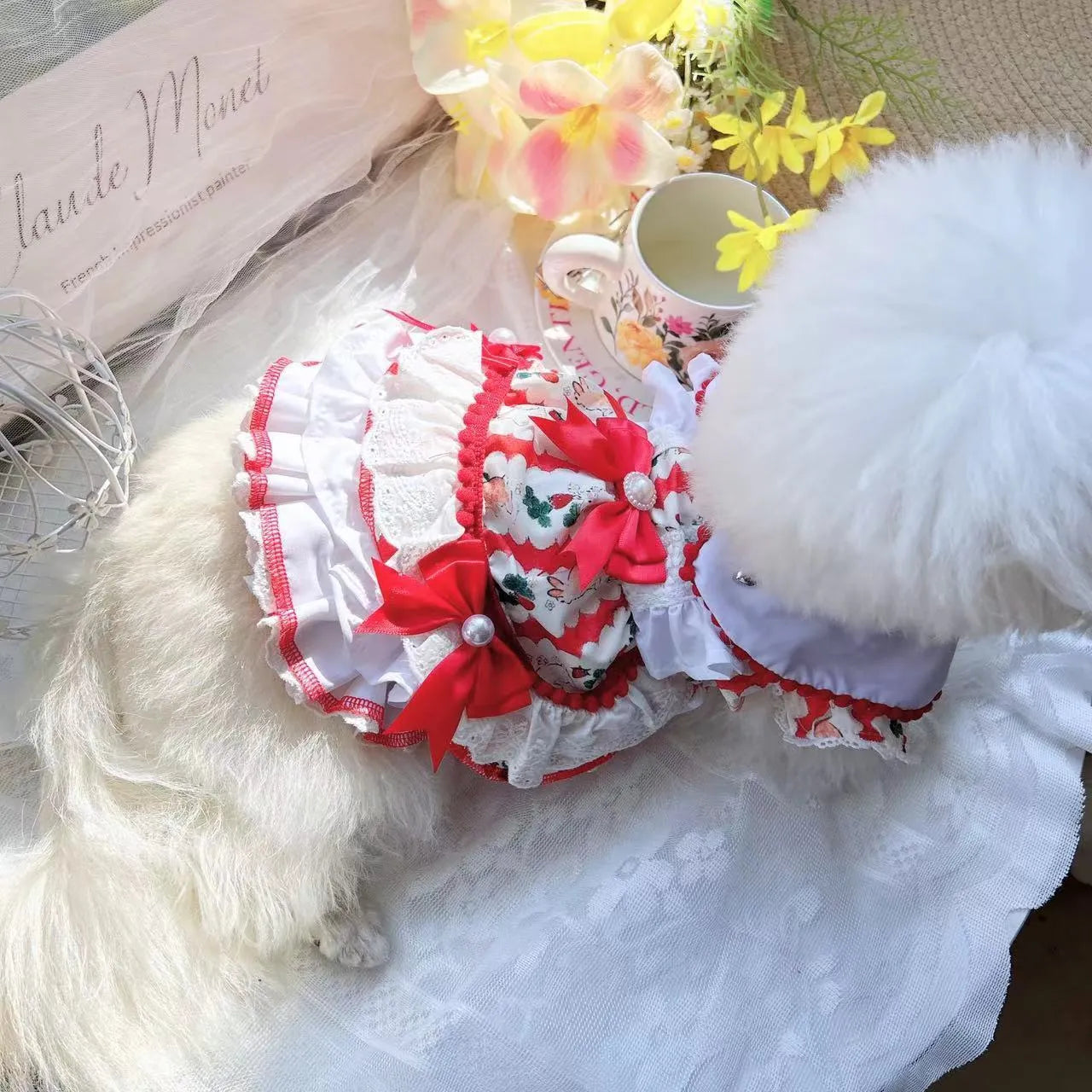 Small dog wearing a rabbit skirt coloured princess-style dress.
