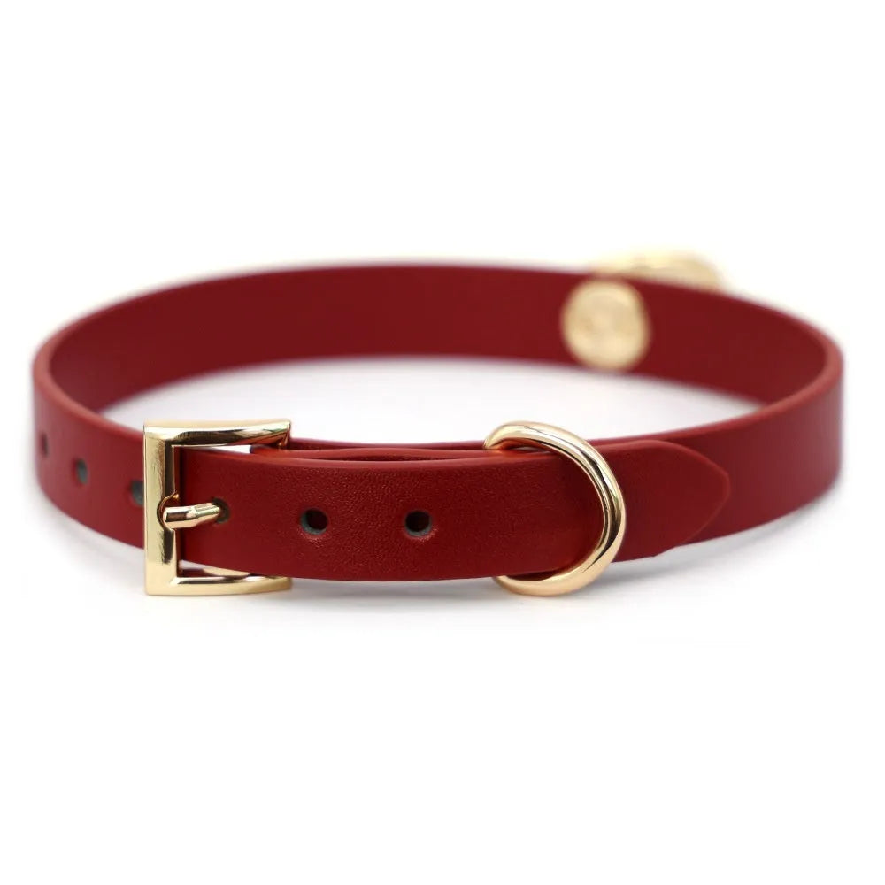 Genuine cowhide leather dog collar with metal chain lead in black, red, and maroon colour options