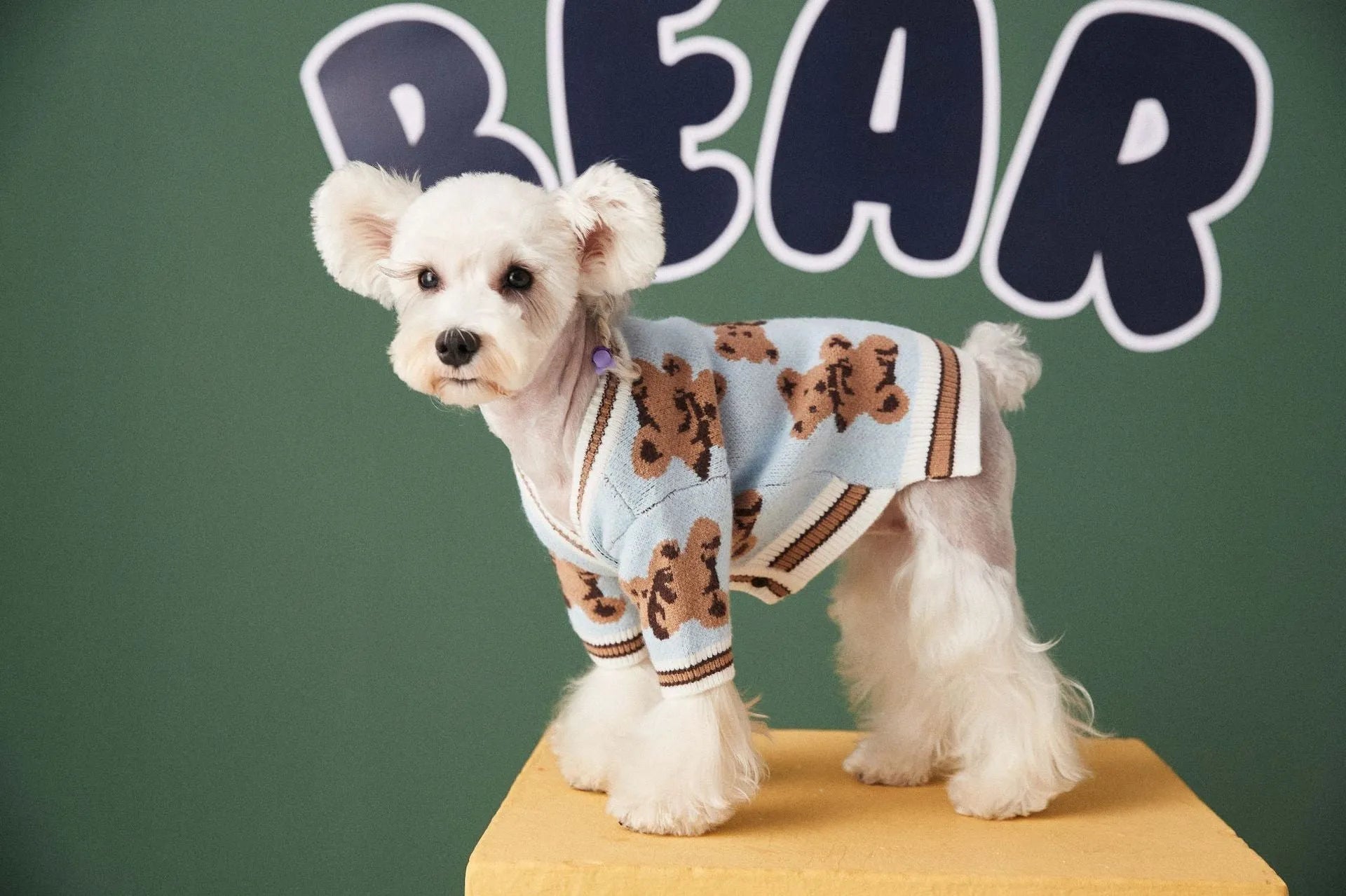 Preppy style wool striped pet sweater for dogs cats in beige colour with V-neck and leash hole on back