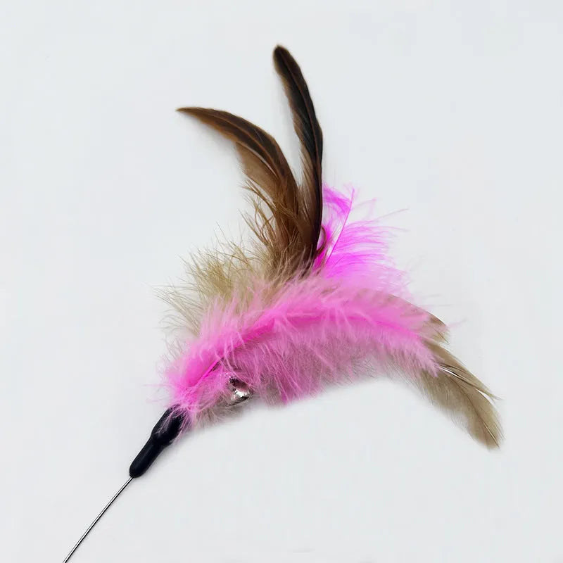 Adjustable cat collar toy with elastic feather teaser in pink or blue colour options
