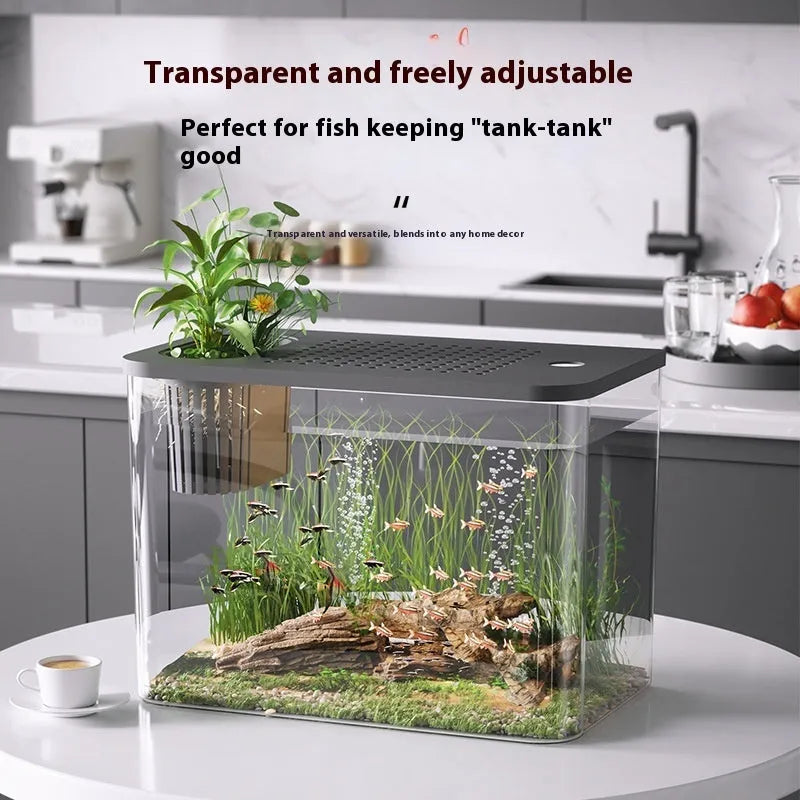 Black and white compact plastic betta fish tank with cover measuring 32 cm long.