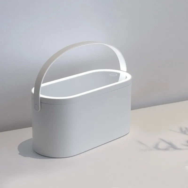 Portable LED light storage box beauty mirror with aluminium reflective surface and storage compartments