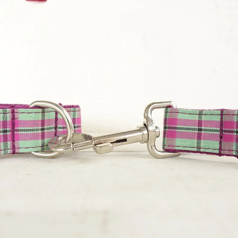 Mint green polyester dog collar and leash set for pet walking