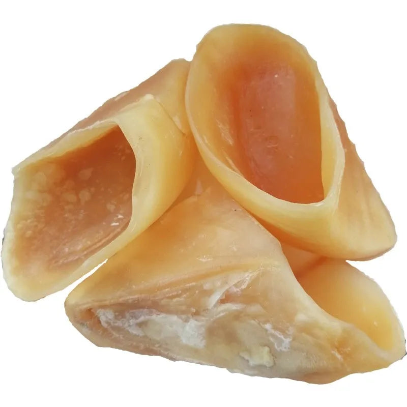 Natural hoof shell coloured cowhide dog chew grinding rod on a white background.