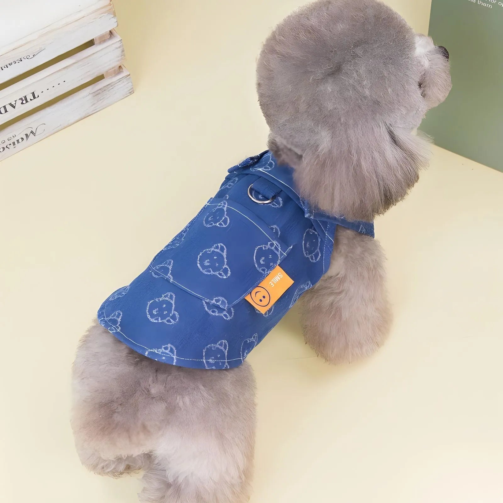 Small white dog wearing a light blue denim princess dress with a frilled skirt.