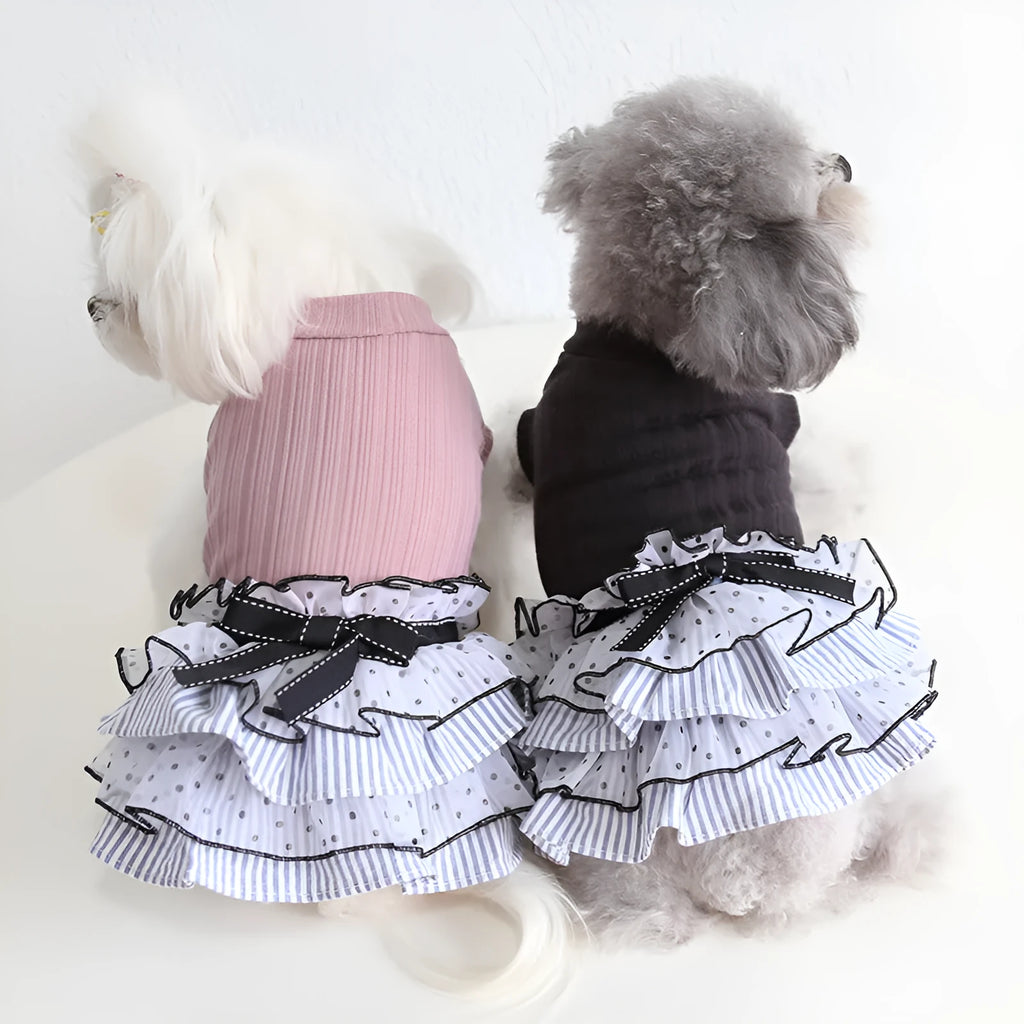 Polka dot and lace princess cake dress for a small dog or cat in taro purple, charcoal black, or iced coffee colour.